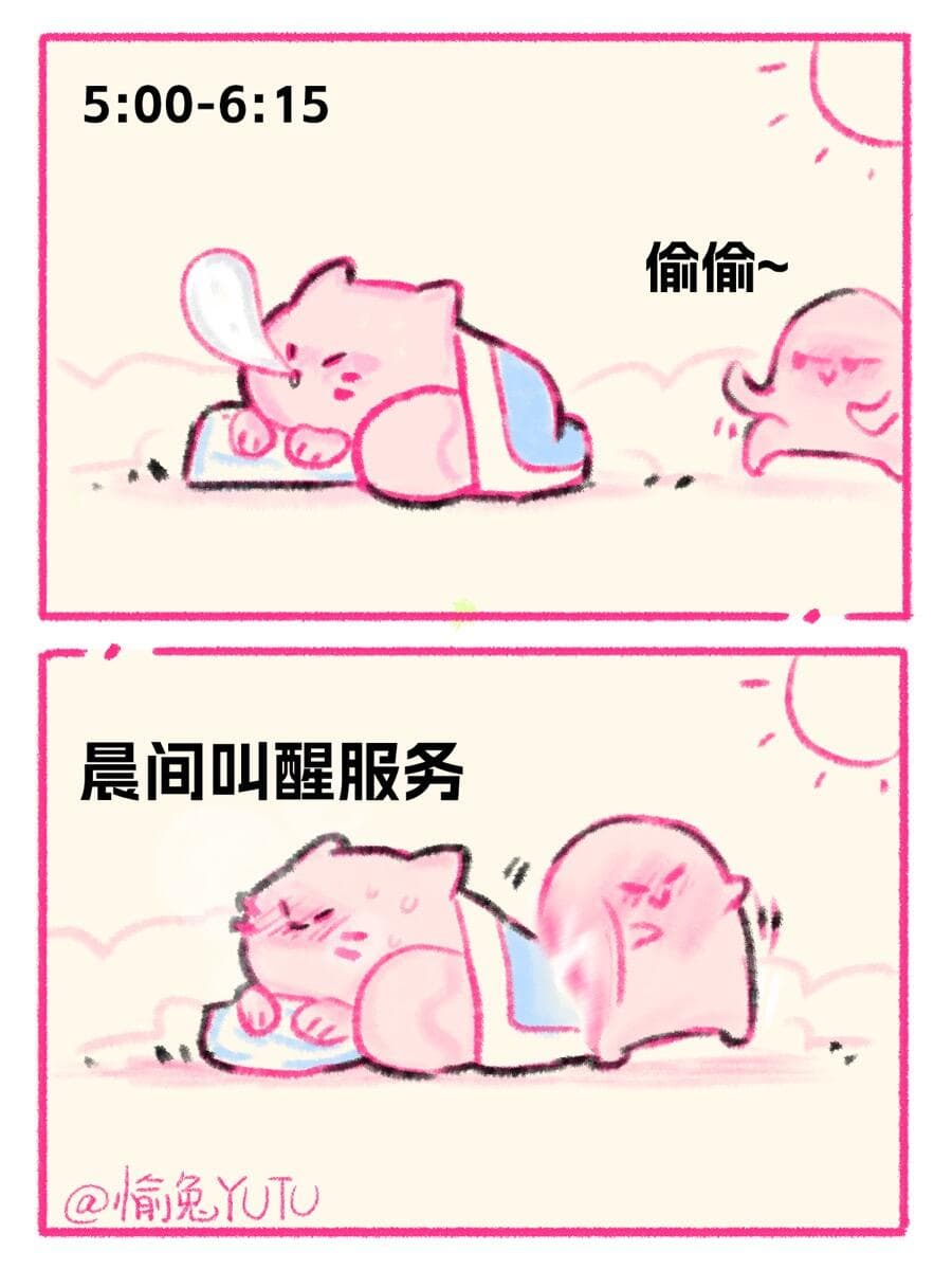 豆豆晨勃