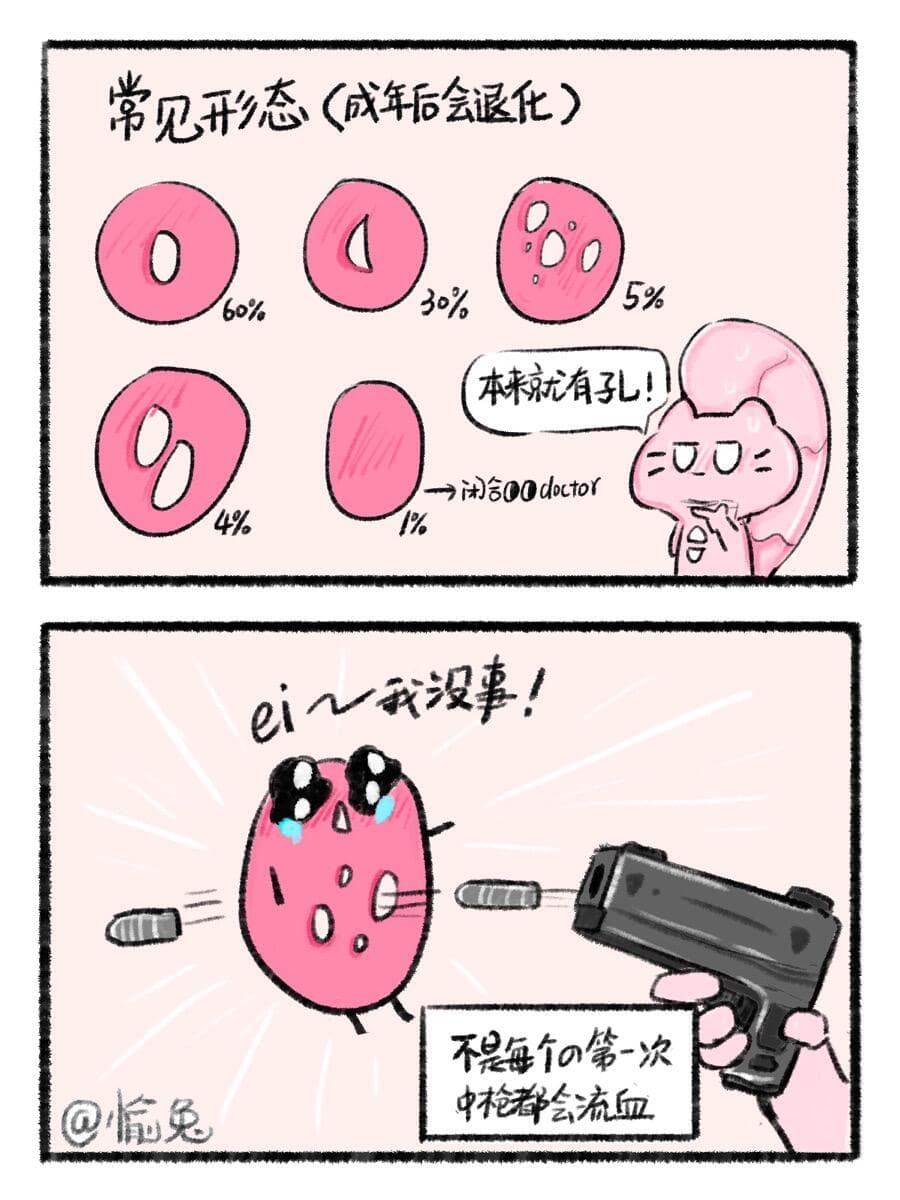 阴道瓣