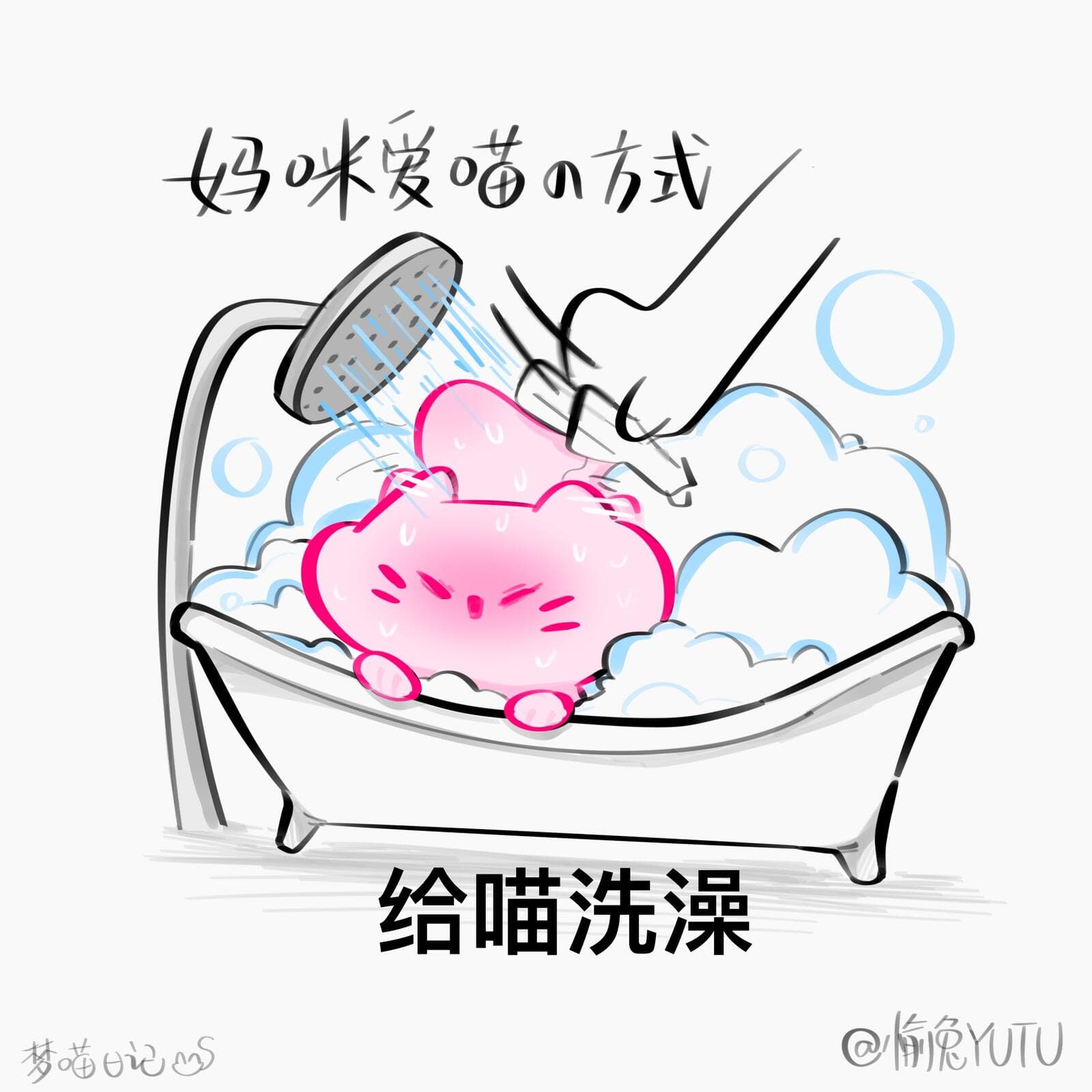 喵的日常